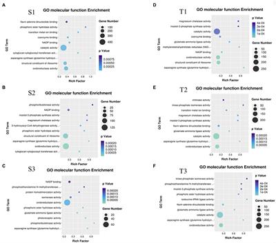 Inositol Improves Cold Tolerance Through Inhibiting CBL1 and Increasing Ca2+ Influx in Rapeseed (Brassica napus L.)